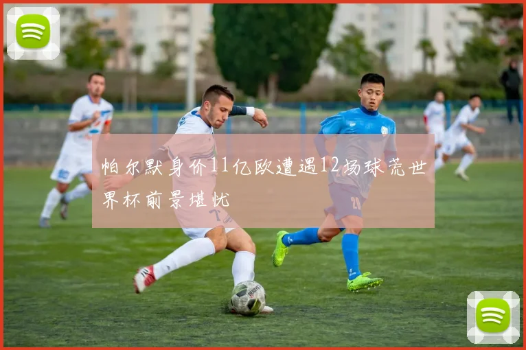 帕尔默身价11亿欧遭遇12场球荒世界杯前景堪忧